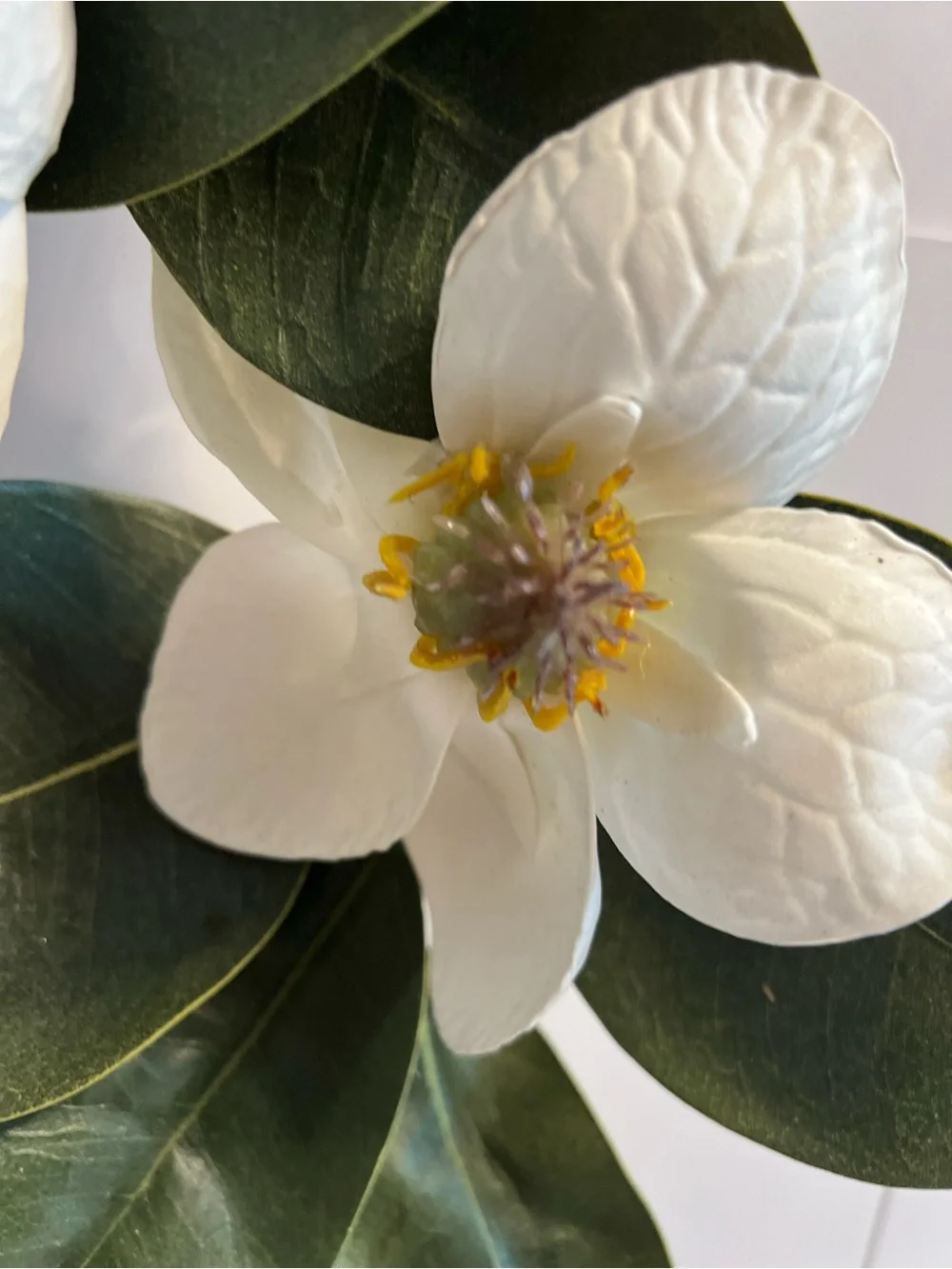 Classic White Magnolia Wreath with Lush Green Leaves